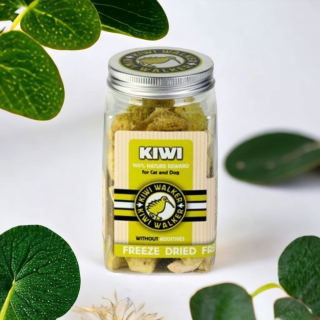 Kiwi sušené mrazom 40g