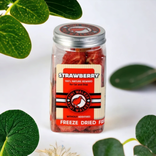 Jahody sušené mrazom 25g