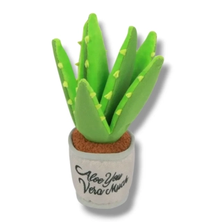 Aloe