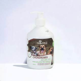  Chondromix 500ml